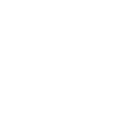 Scottish Premier League
