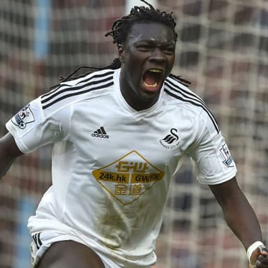Bafétimbi Gomis - _Retired Soccer Player