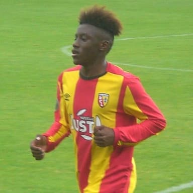 Jean-Ricner Bellegarde - Wolverhampton Wanderers Player