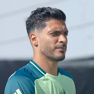 Raúl Jiménez - Fulham Player