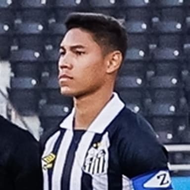 Vinicius Balieiro - _Free Agent Soccer Player