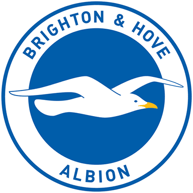 Brighton and Hove Albion Official Badge
