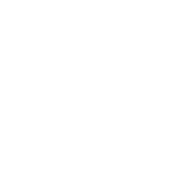 Ospreys Official Badge